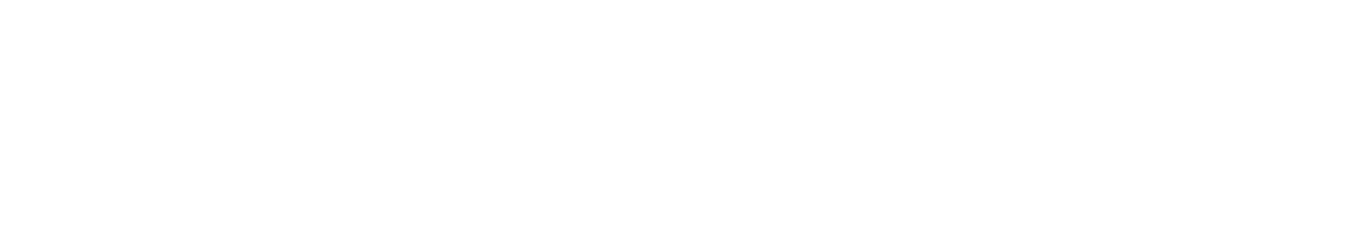 ライズ・ソリューション株式会社